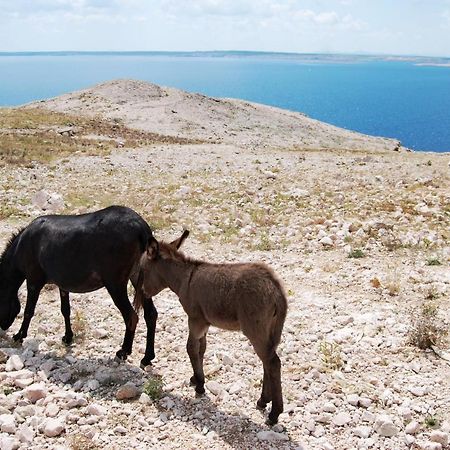 Galapagus Privat Beach & Boat Dock Lägenhet Metajna Exteriör bild